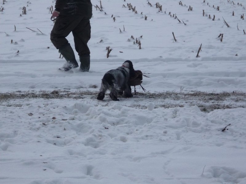 hon_konopiste (53).jpg